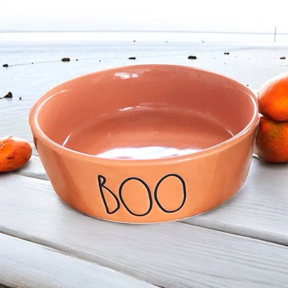 🆕 Rae Dunn Boo Bowl NWOT
